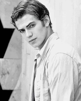 Black And White Hayden Christensen Paint By Numbers