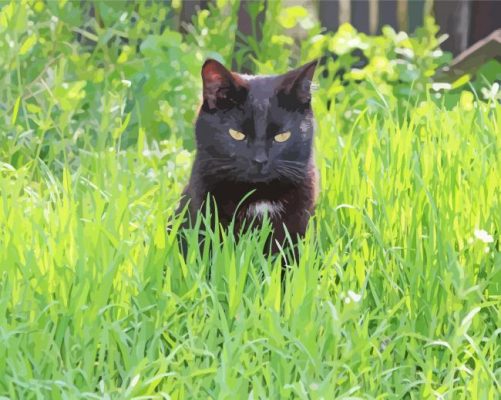 Black Cat In Grass Paint By Numbers