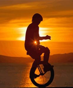 Boy On Unicycle Silhouette Paint By Numbers