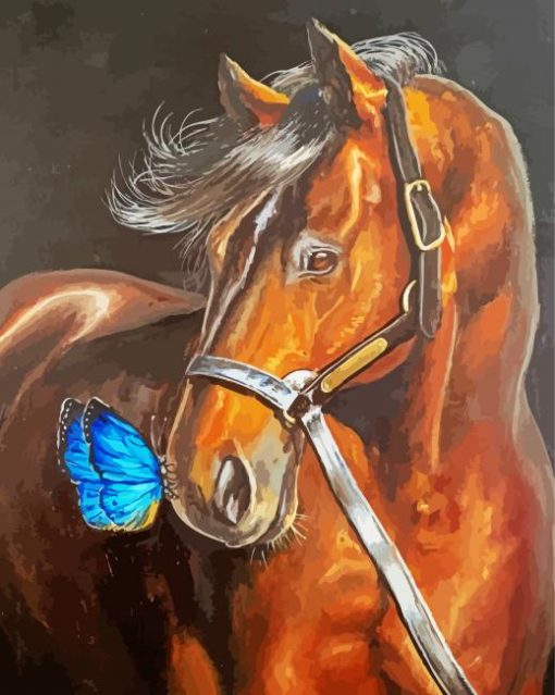 Brown Horse And Butterfly Paint By Numbers