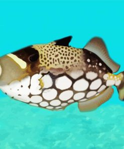 Clown Triggerfish Paint By Numbers