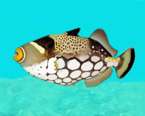 Clown Triggerfish Paint By Numbers