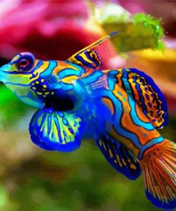 Colorful Elegant Fish Paint By Numbers