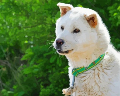 Cute Jindo Dog Paint By Numbers