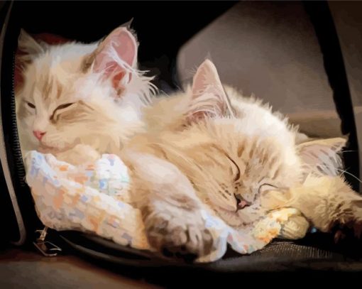 Cute Kittens Sleeping Paint By Numbers