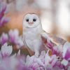 Cute Owl With Flowers Paint By Numbers