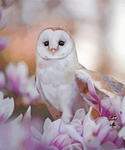 Cute Owl With Flowers Paint By Numbers