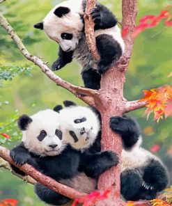 Cute Pandas On Tree Paint By Numbers