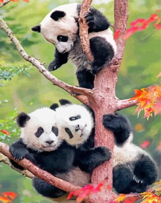 Cute Pandas On Tree Paint By Numbers