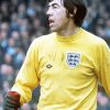 Football Player Gordon Banks Paint By Numbers