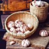 Garlic In Basket Paint By Numbers
