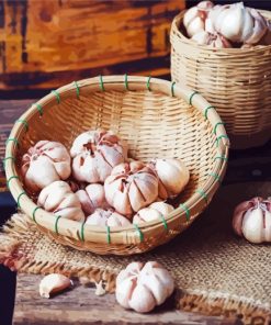 Garlic In Basket Paint By Numbers
