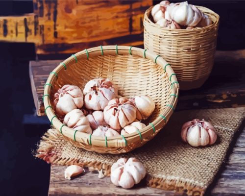 Garlic In Basket Paint By Numbers