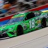 Green Kyle Busch Paint By Numbers
