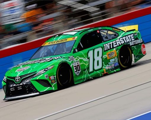 Green Kyle Busch Paint By Numbers