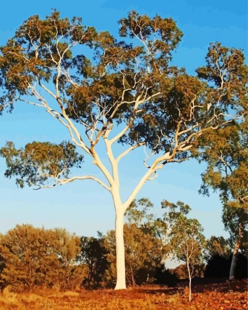 Gum Tree Paint By Numbers