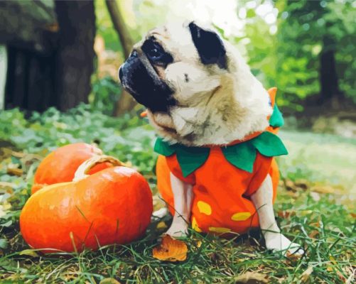 Halloween Pug Paint By Numbers