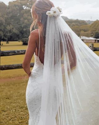 Luxury Handmade Bridal Veil Paint By Numbers