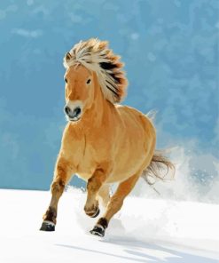 Norwegian Fjord Horse Running Paint By Numbers