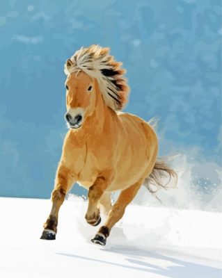 Norwegian Fjord Horse Running Paint By Numbers