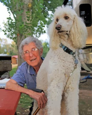 Old Woman And Dog Paint By Numbers