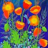 Orange Poppies And Dragonflies Paint By Numbers