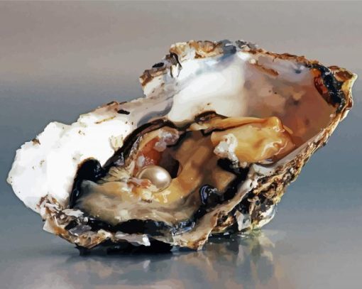 Oyster Pearl Paint By Numbers