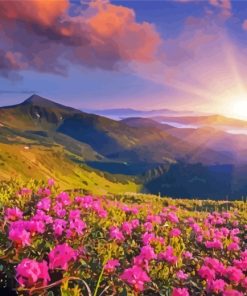 Pink Flowers And Mountains Paint By Numbers