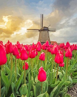 Pink Tulpen En Molen Paint By Numbers