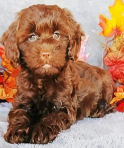 Puppy Chocolate Cockapoo Paint By Numbers