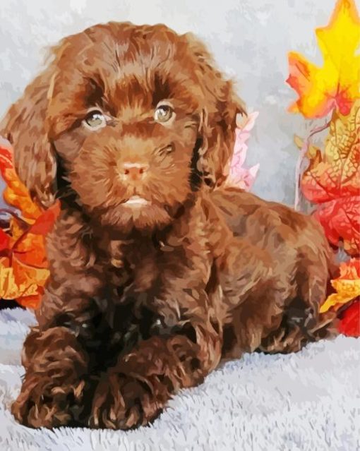 Puppy Chocolate Cockapoo Paint By Numbers