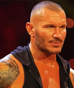 Randy Orton Wrestler Paint By Numbers