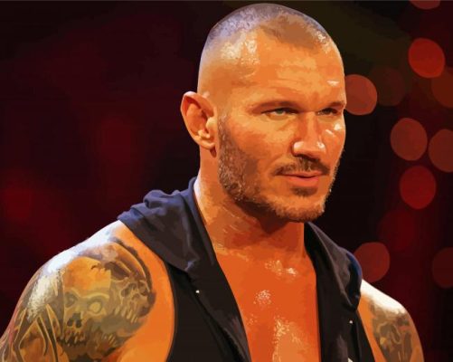 Randy Orton Wrestler Paint By Numbers