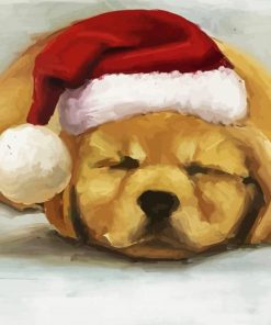 Sleepy Santa Puppy Paint By Numbers