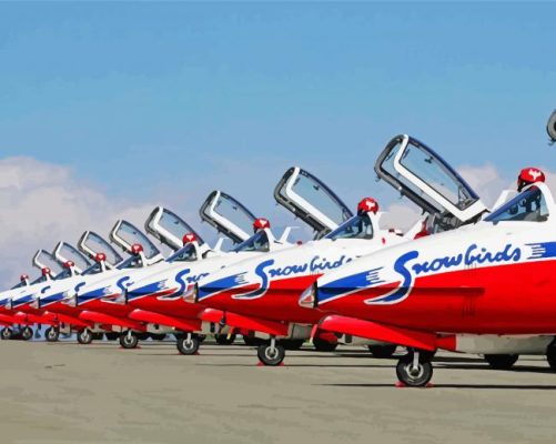 Snowbirds Planes Paint By Numbers