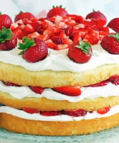 Tasty Strawberry Cake Paint By Numbers