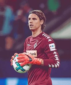 The Professional Player Yann Sommer Paint By Numbers