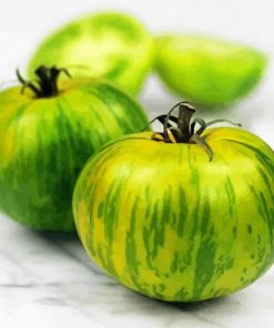 Tomato Green Zebra Paint By Numbers
