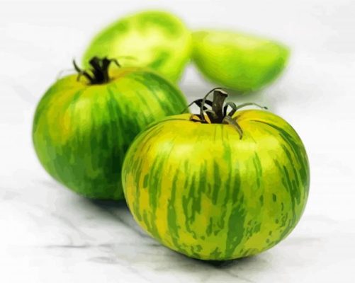 Tomato Green Zebra Paint By Numbers