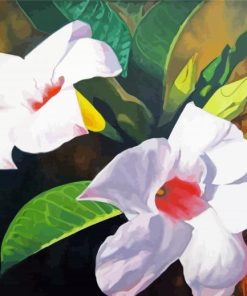 White Mandevilla Paint By Numbers