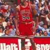 Bassketball Player Horace Grant paint bu numbers