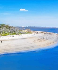 Beautiful View Of St Simons Island Beach paint by numbers