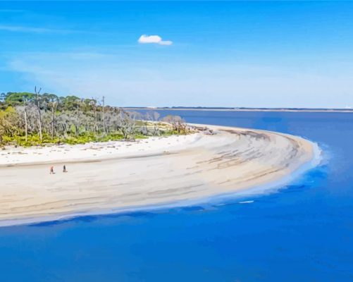 Beautiful View Of St Simons Island Beach paint by numbers