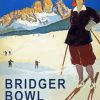 Bridger Bowl Montana Ski Poster paint by numbers