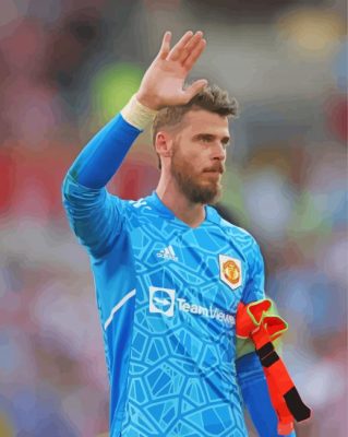 David de Gea paint by numbers