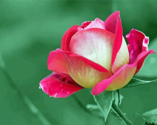 Green Background With Pink Flower paint by numbers