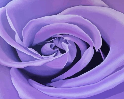 Lilac Rose Paint By Numbers