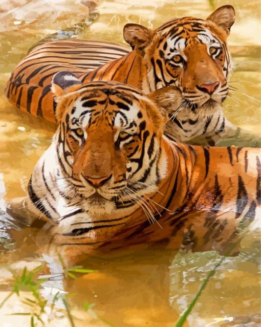 Tiger Couple In Water paint by numbers