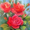 Aesthetic Artistic Roses paint by numbers