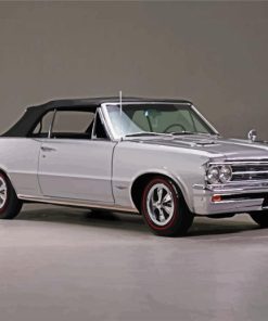 Grey 1964 GTO paint by numbers